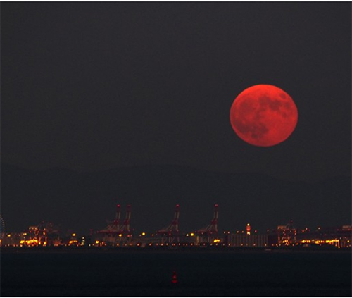 Blood-Moon-Trump
